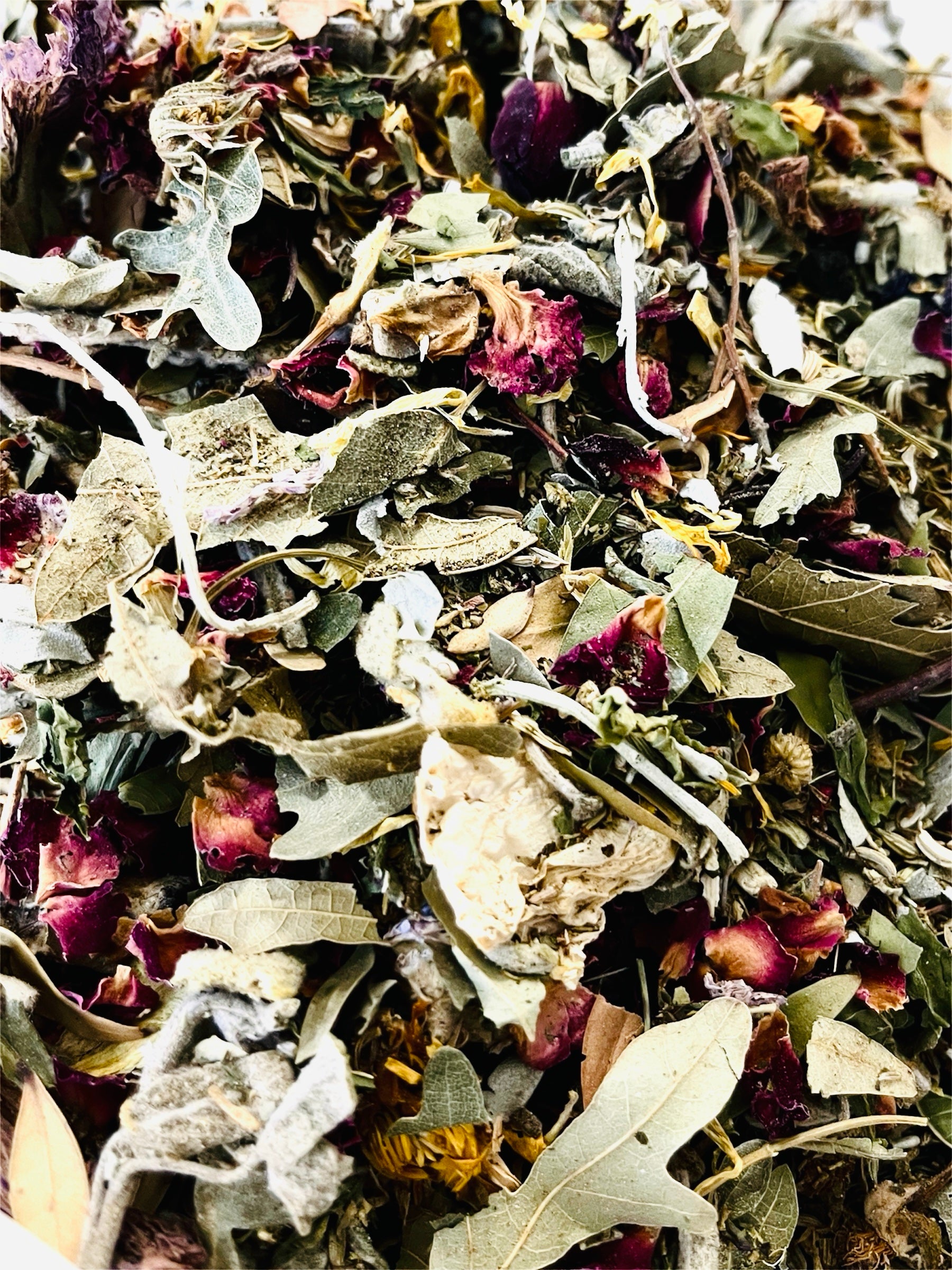 Winter Tea Collections image 6