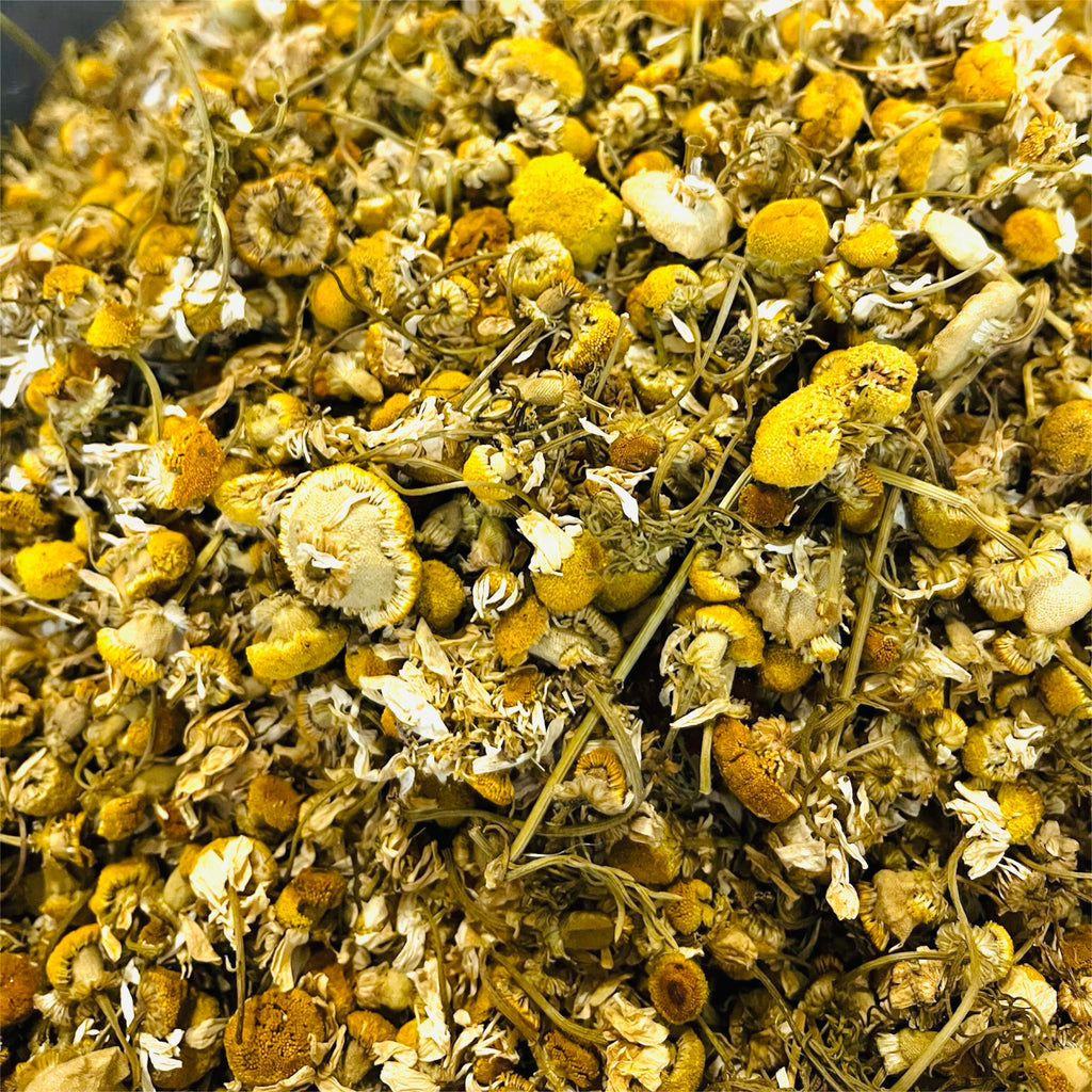Winter Tea Collections image 5